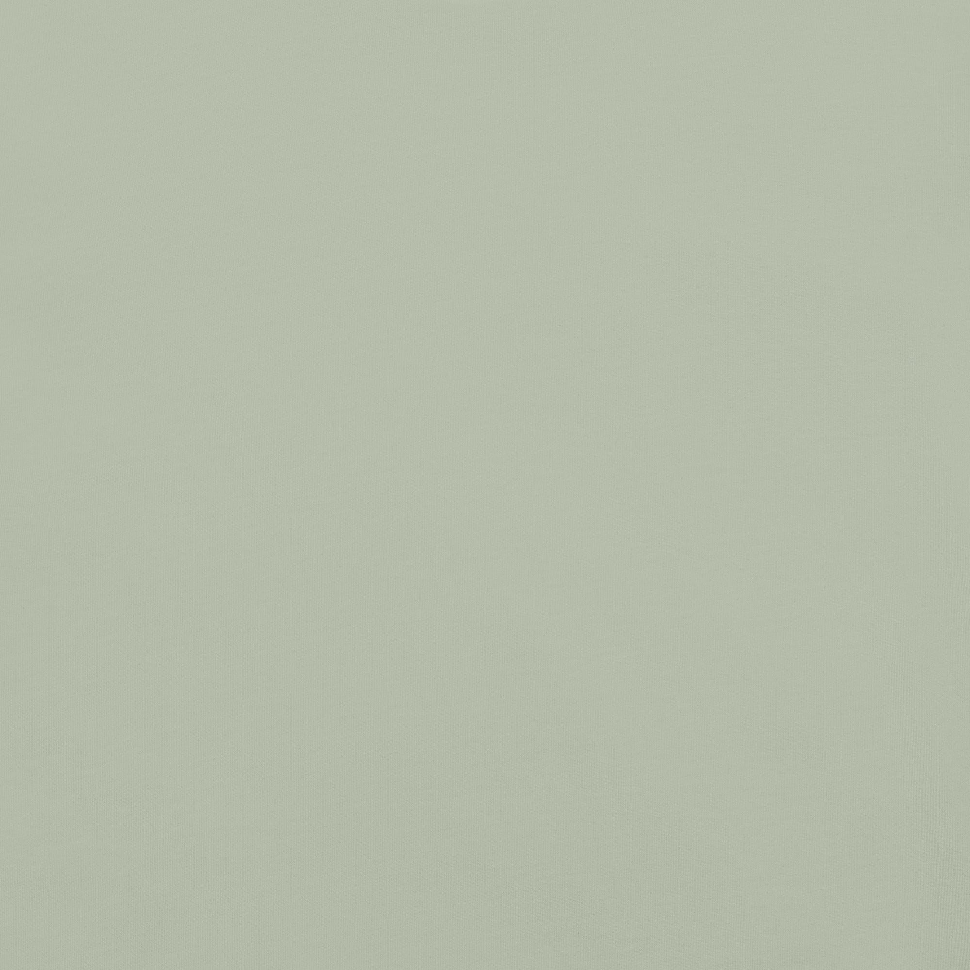 unisex-garment-dyed-heavyweight-t-shirt-bay-back-67bdfecbbc64a.jpg