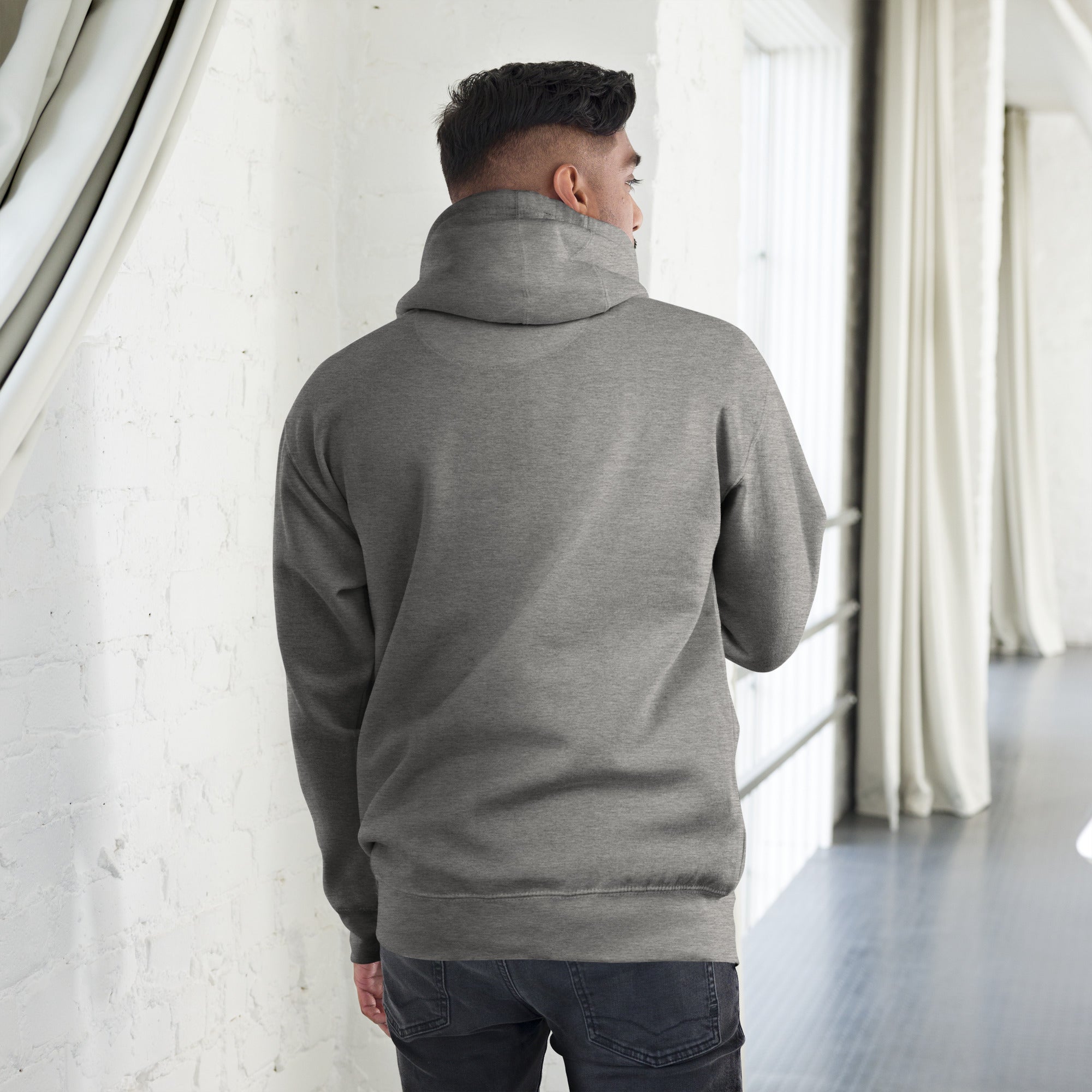 unisex-premium-hoodie-carbon-grey-back-67795ee311bc1.jpg