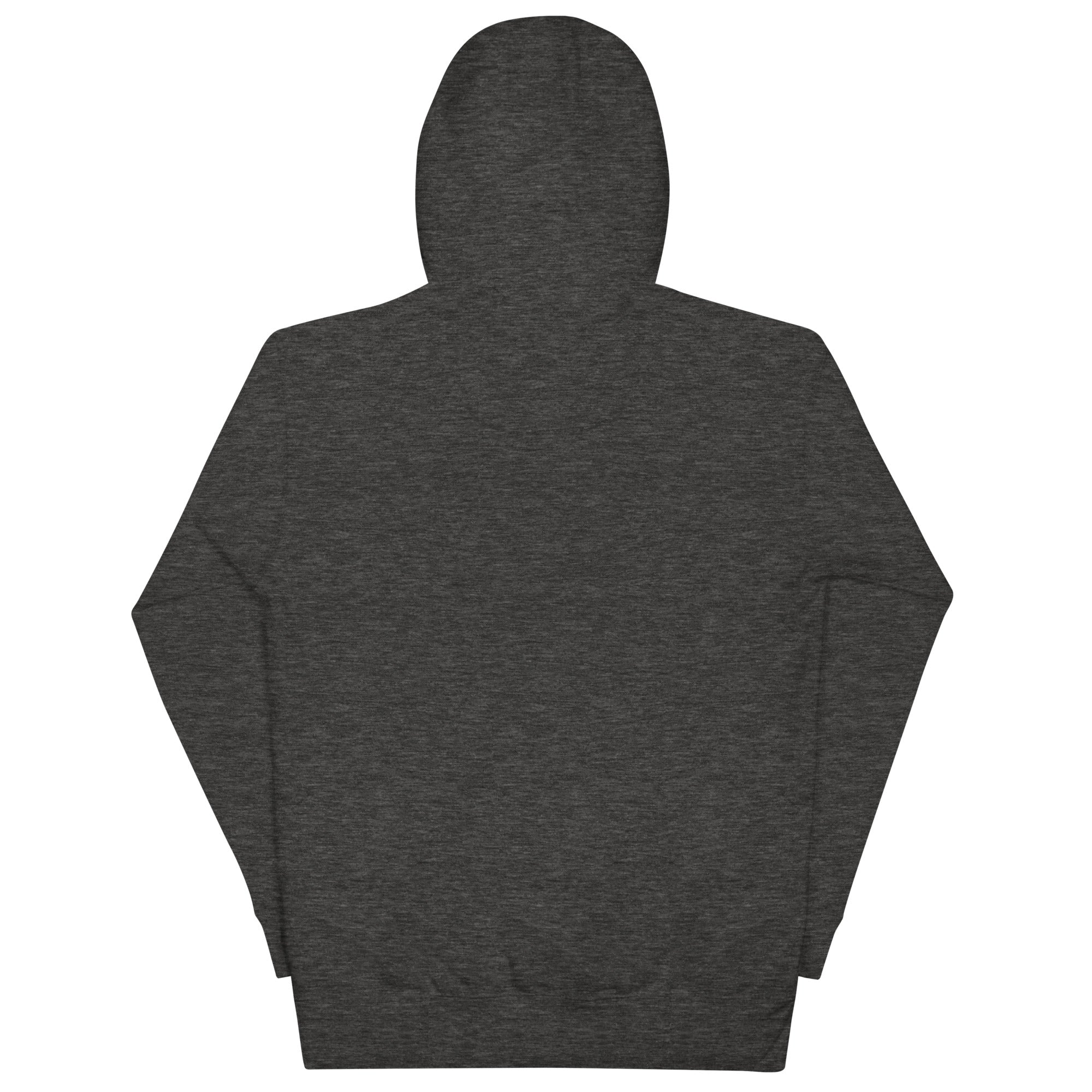 unisex-premium-hoodie-charcoal-heather-back-677976c4da490.jpg